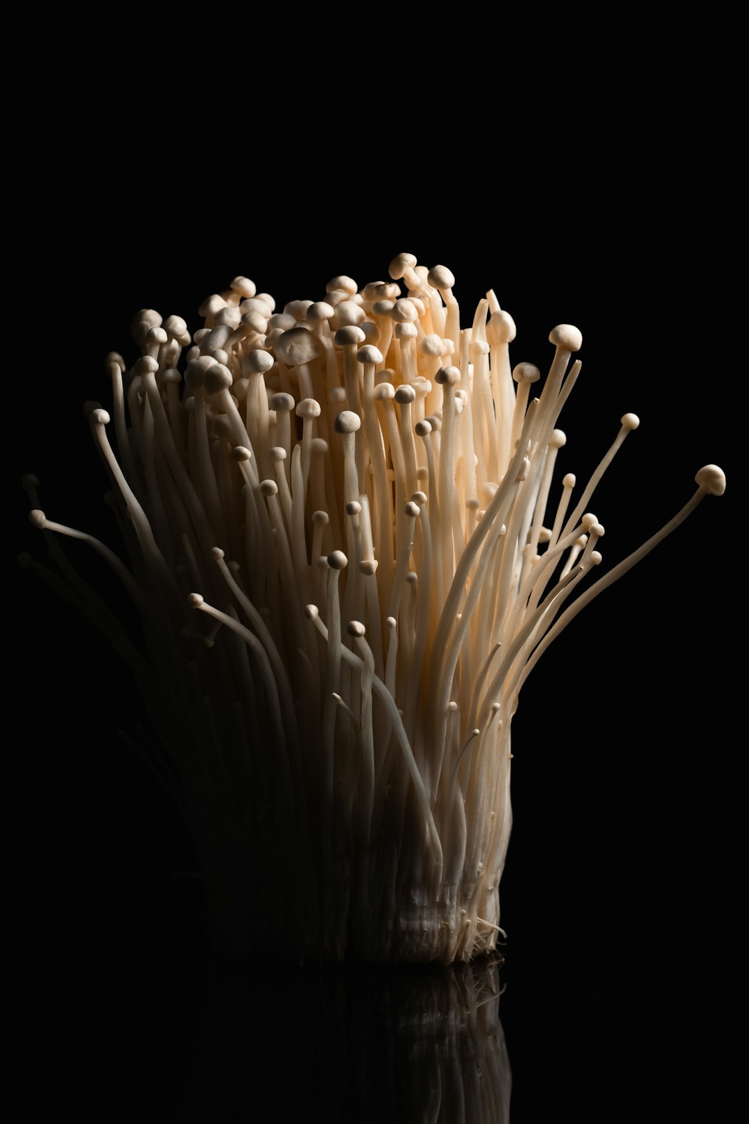Enoki mushrooms recalled because of Listeria contamination