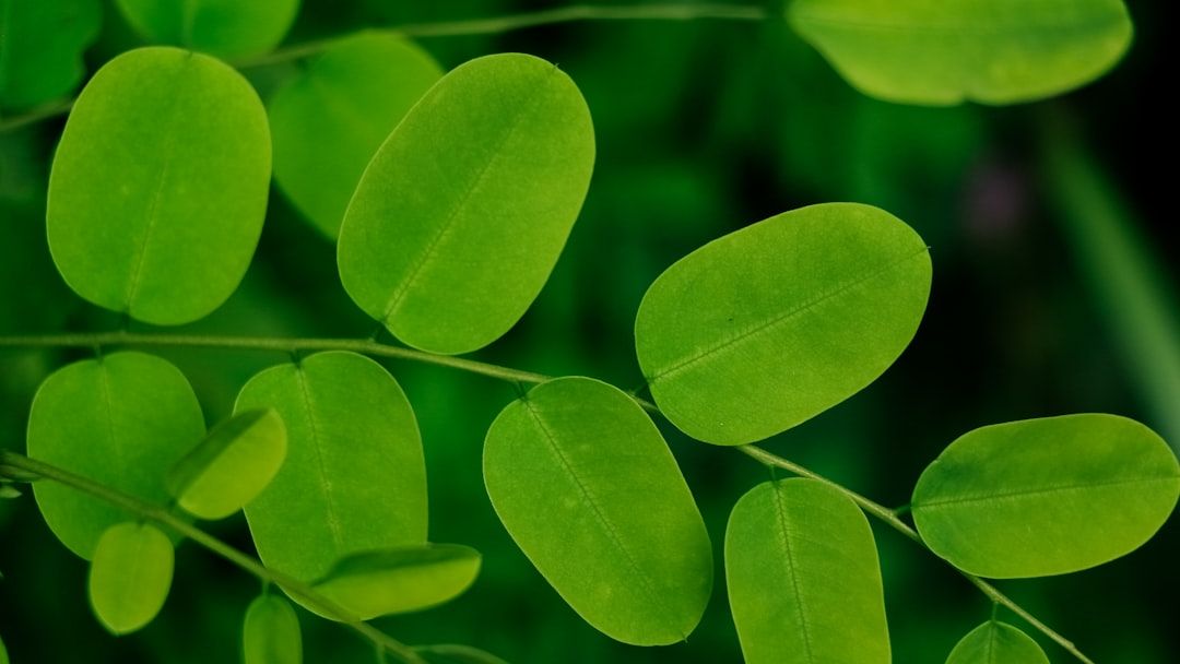 The 10 Most Nutrient-Dense Vegetables You've Probably Never Tried