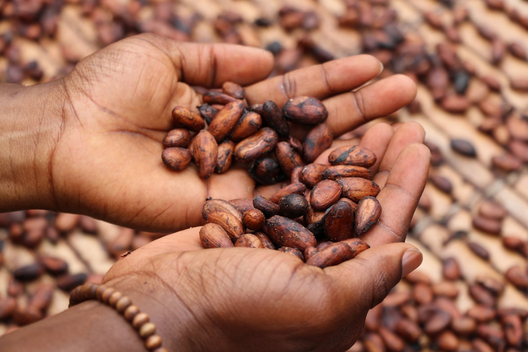Mondelez thrown curve ball by cocoa retreat in challenge to pricing strategy