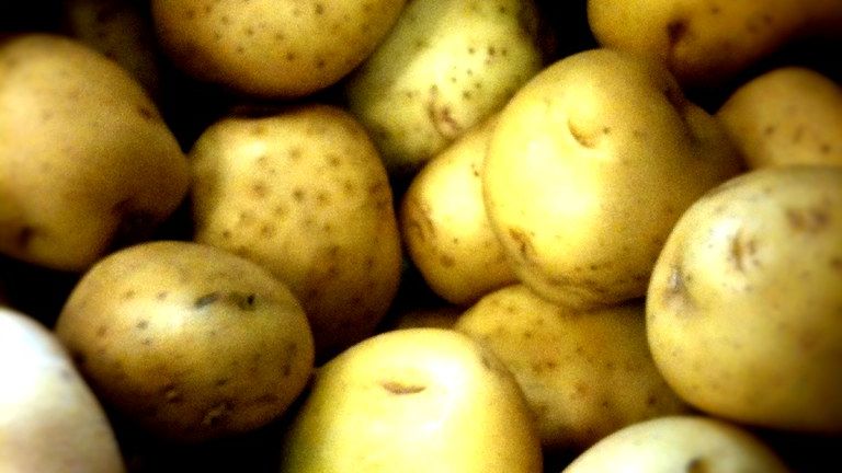 The Secret to Perfectly Crispy Smashed Potatoes Every Time