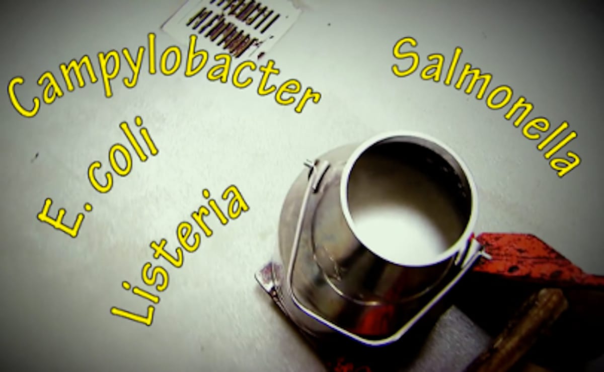 E. coli outbreak traced to raw milk