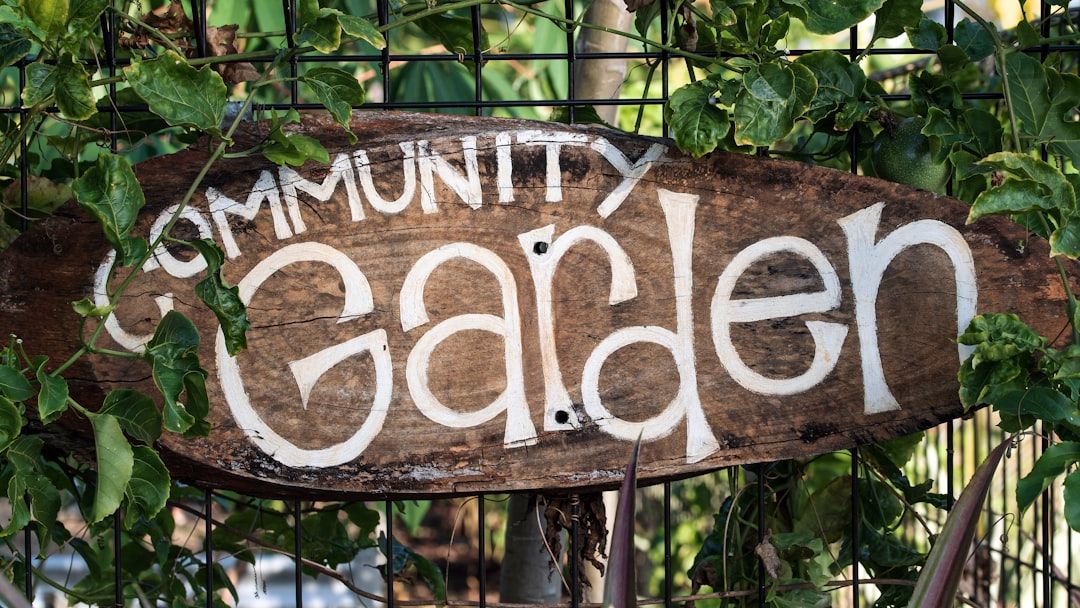 Who Owns the Herb Garden? 5 Community Plot Myths People Often Get Wrong