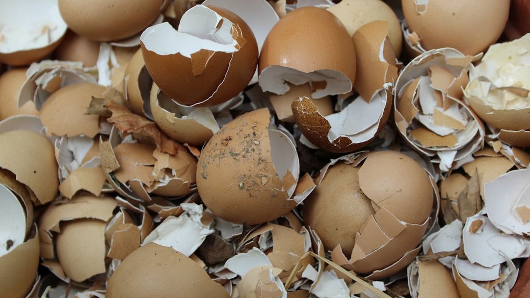 11 Food Scraps Legal Experts Say Should Never Go in Residential Trash