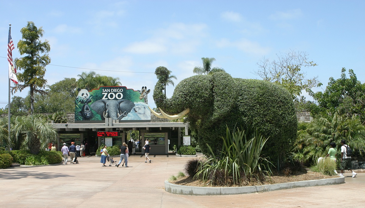 WATCH: Exploring the delights at San Diego Zoo