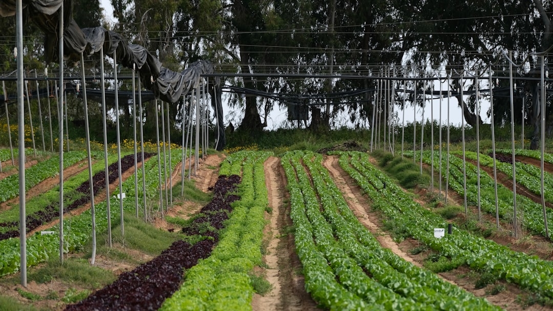Rodale Institute Launches Research Endowment