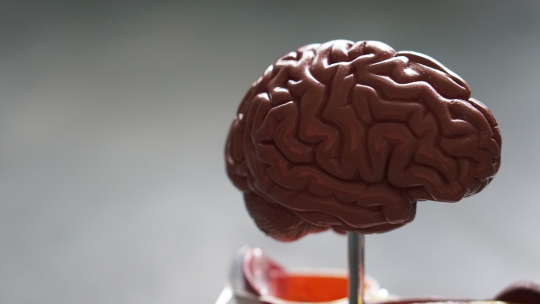 Watch: 7 Brain-Boosting Foods That May Help Protect Memory as You Age