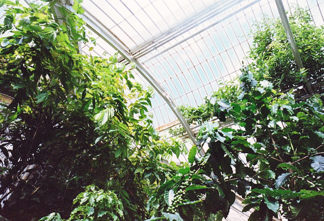 Botanical expansion under consideration at Corbion