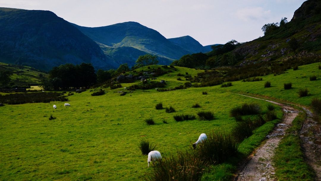 Travel Agents Say Food Safety Fears Are Steering Tourists Away