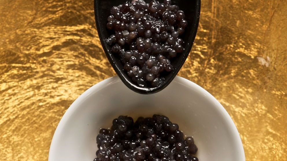 11 Foods You Can't Legally Bring Back From Overseas