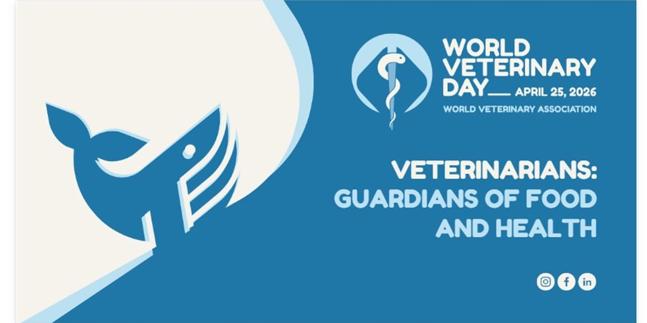 Food safety central to World Veterinary Day theme