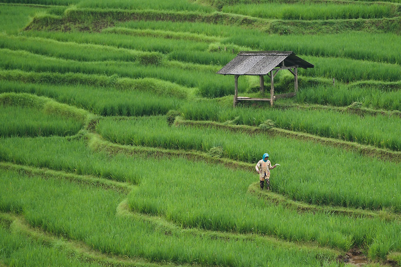 Ecovillages and organic farming could reverse global warming [PODCAST]