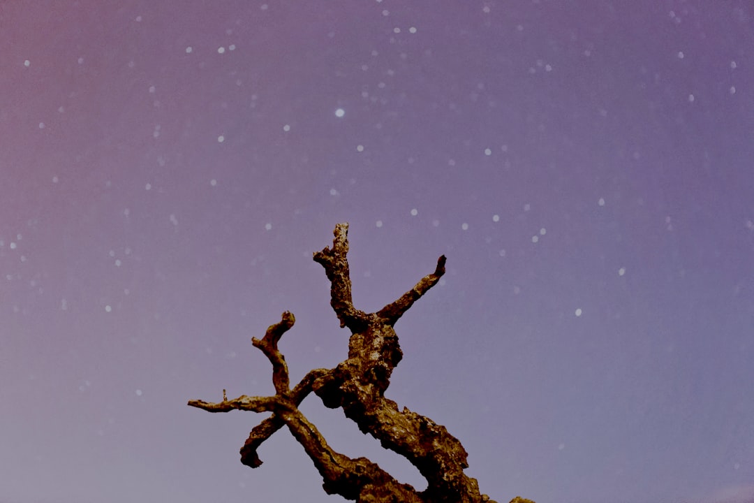 Scorpio Horoscope 5 Mar 2026