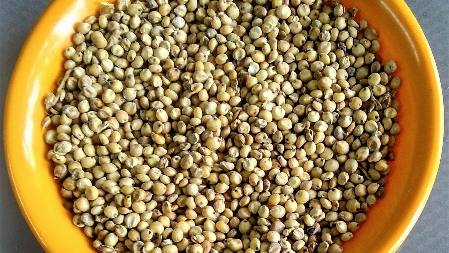 Guide to Cooking with Ancient Grains Today