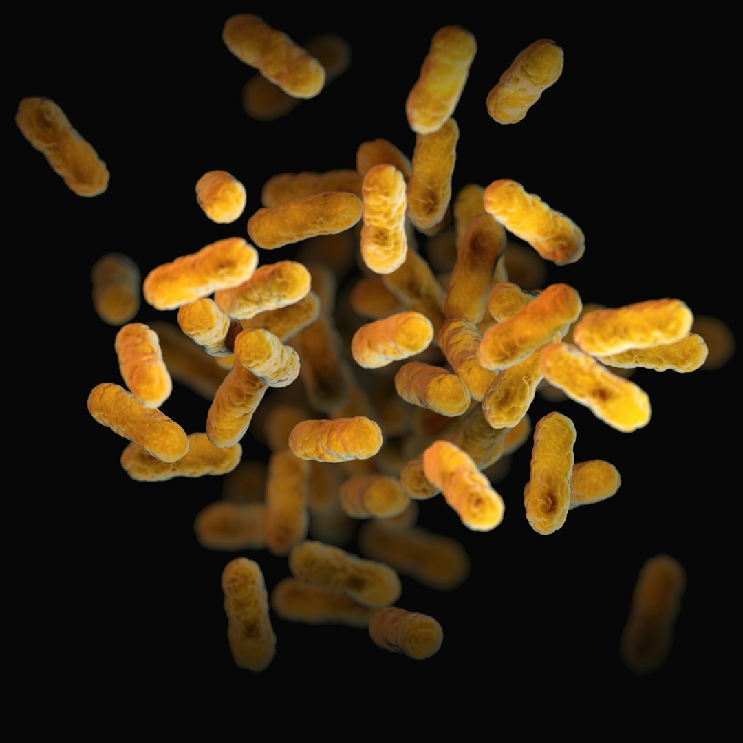 Salmonella sickens 84 across the UK