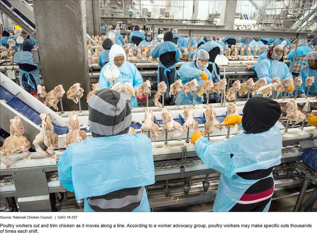 Audit finds China can’t ensure poultry meat rules are met for products sent to EU