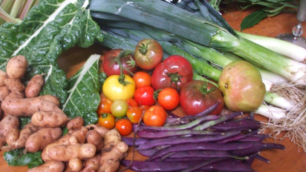 The Ultimate Guide to Pairing Forgotten Heirloom Vegetables with Modern Dishes