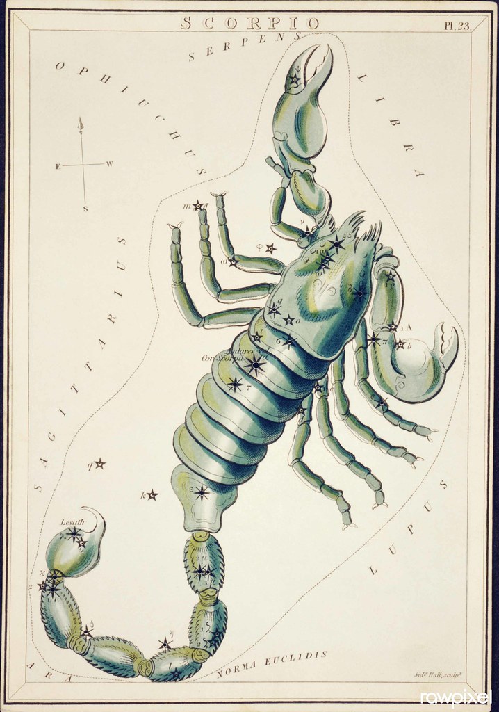 Scorpio Horoscope 9 Mar 2026