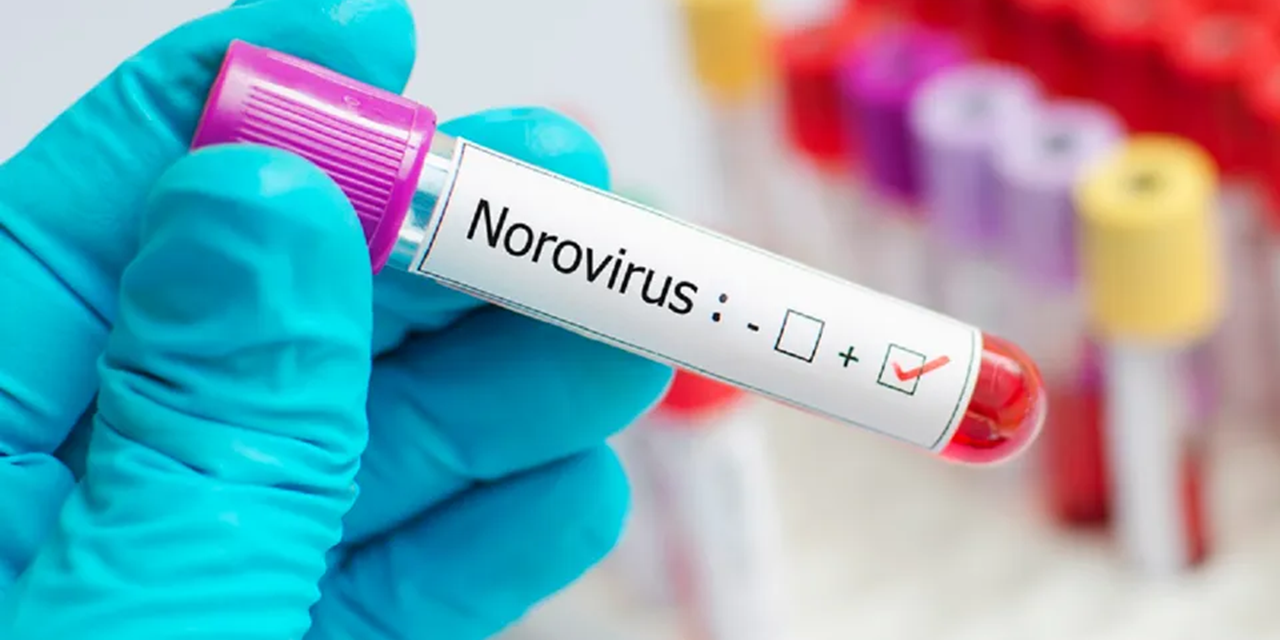 Norovirus dominates outbreaks in New Zealand