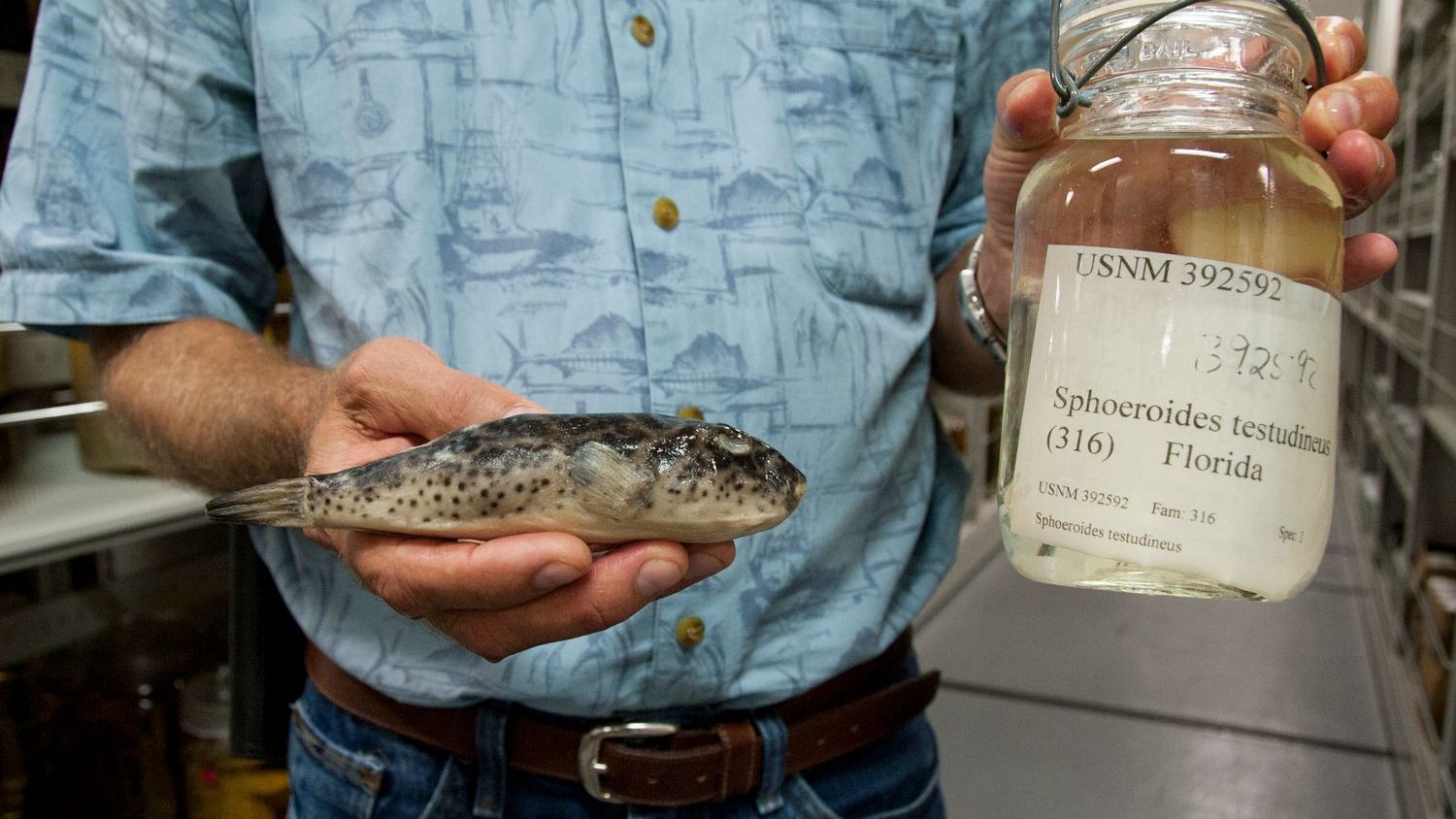 What If Your Favorite Restaurant Dish Is a Lie?