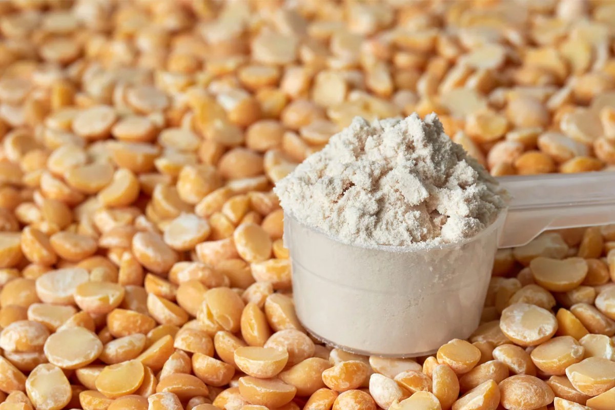 Louis Dreyfus pea protein plant begins operating