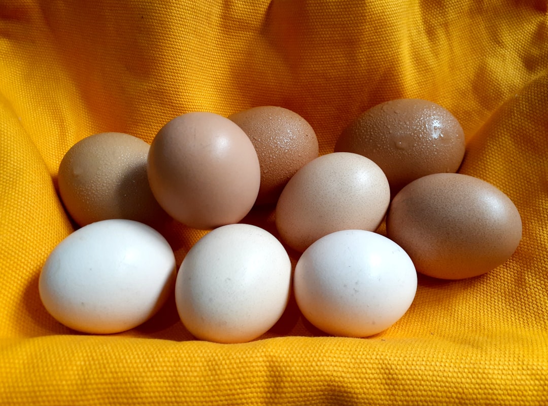 Dutch egg Salmonella outbreak sickened more than 200