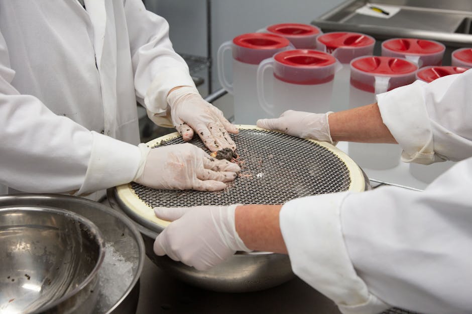 New technology could allow consumers to test for spoilage at home and put bacterial detection in food packaging