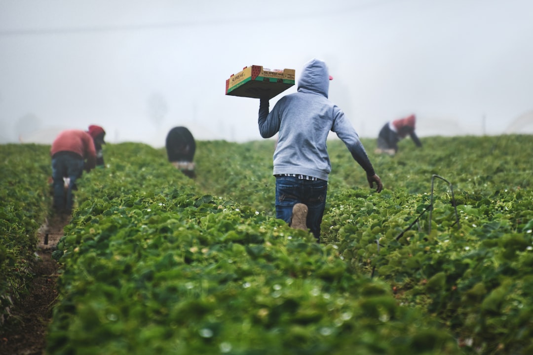 Regenerative & Climate-Smart Sourcing