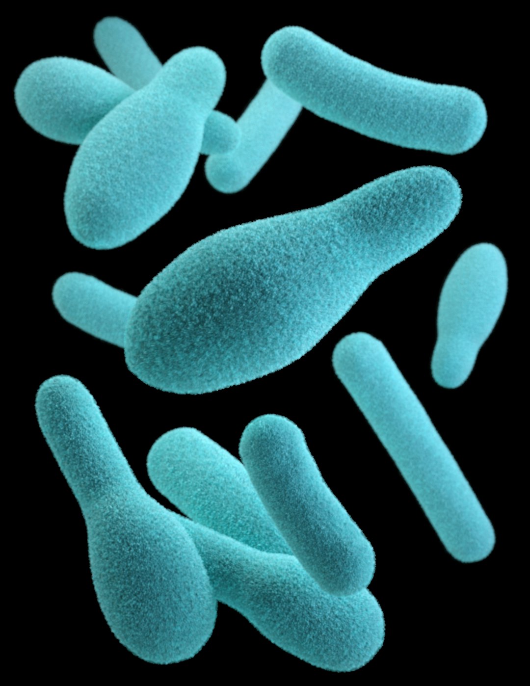 Scientists show diversity of Salmonella strain