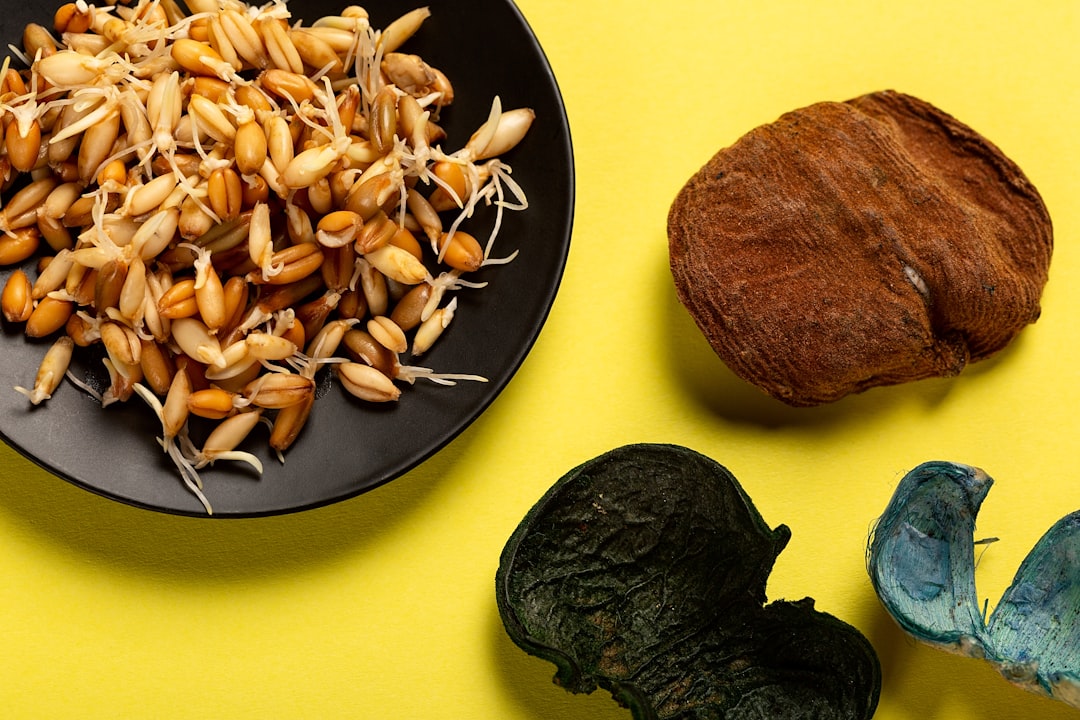 Roomy recalled because of Salmonella contamination