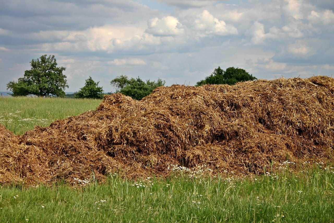 FDA risk assessment on the use of manure on produce fields lacks specificity