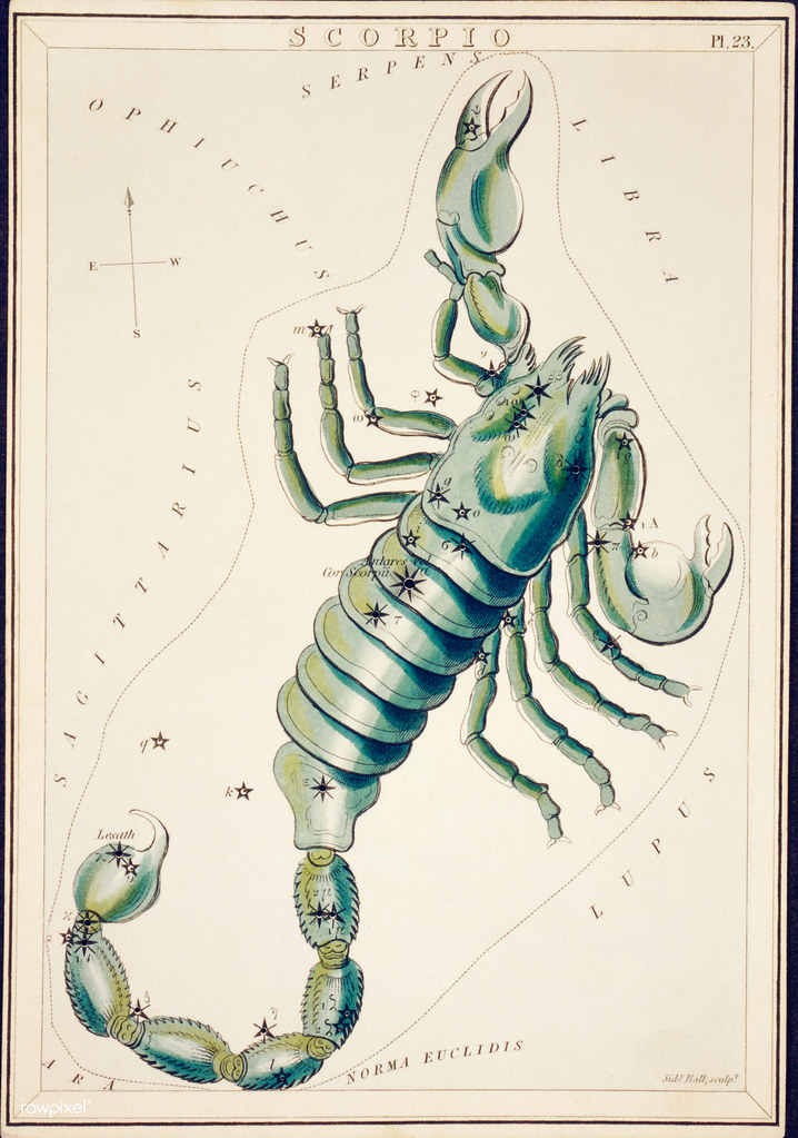 Scorpio Horoscope 13 Mar 2026