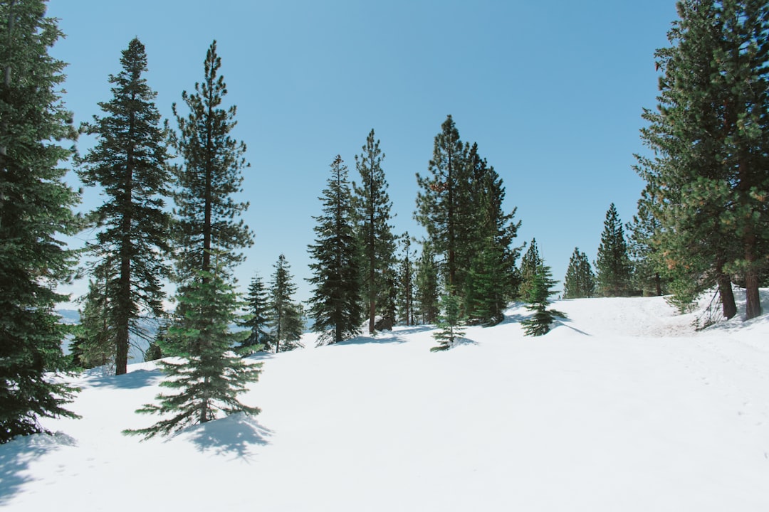 California's snowpack was already meager. Now comes an extraordinary heat wave