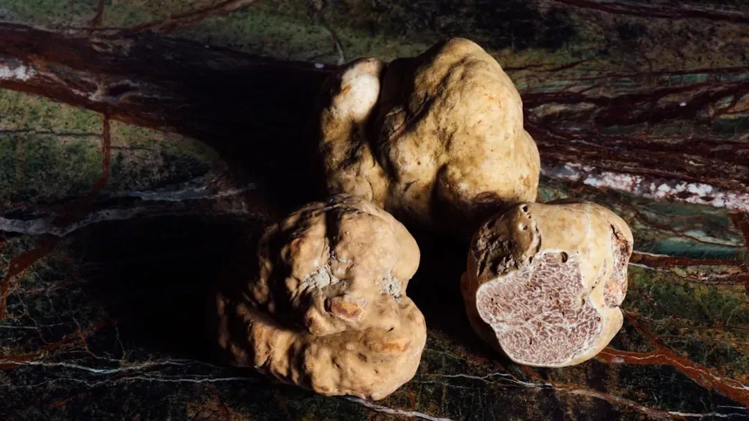 The $10,000 Dime-Sized Truffle: Why This Rare Ingredient Is So Valuable