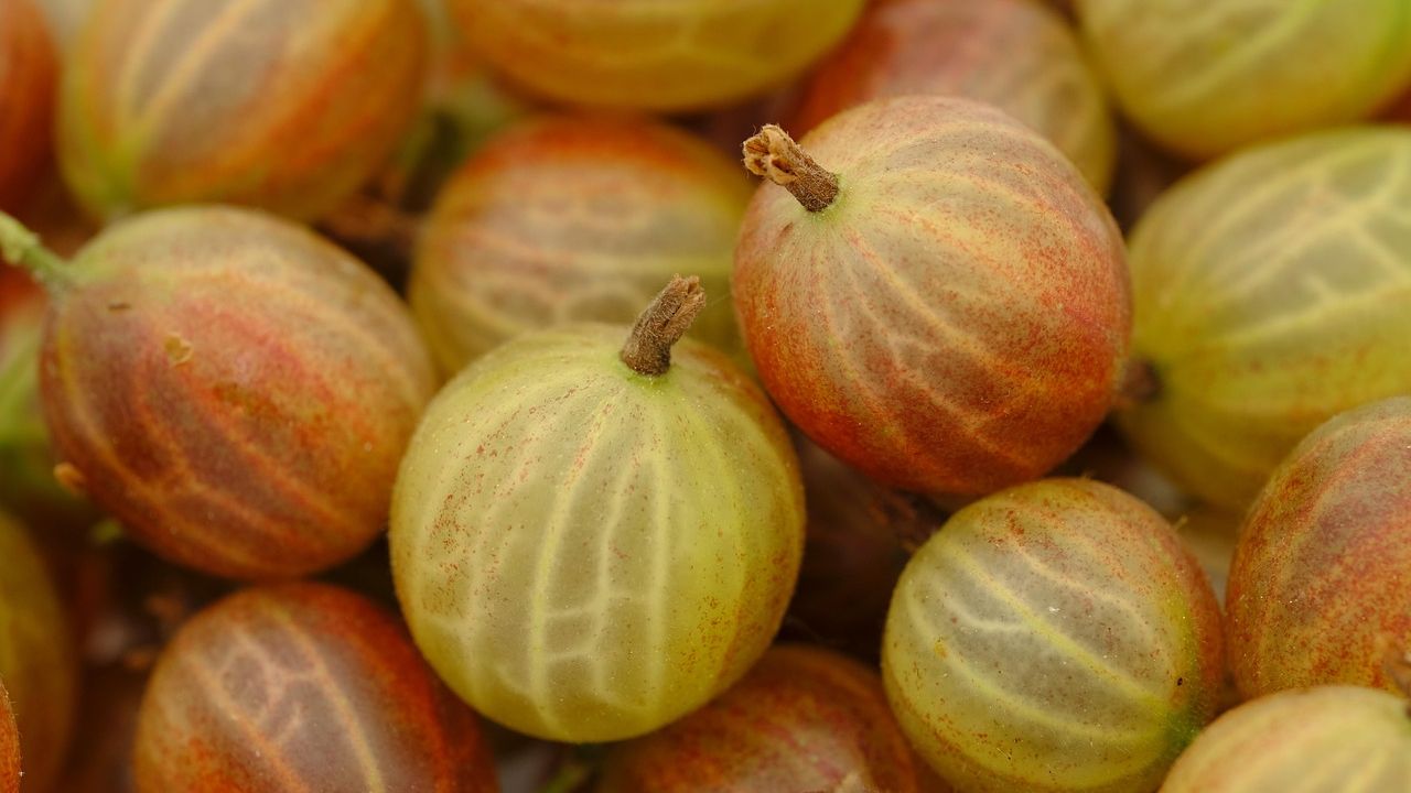 7 Fruits With More Vitamin C Than Oranges - Most People Overlook Them