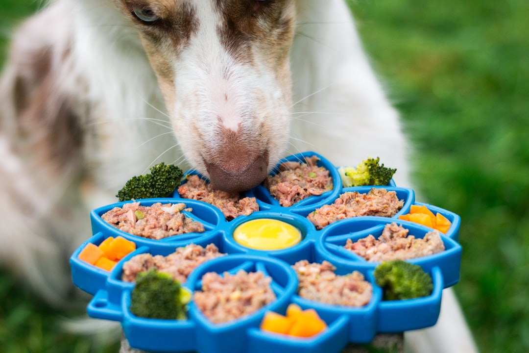 Starting with sustainability: Pet food processing