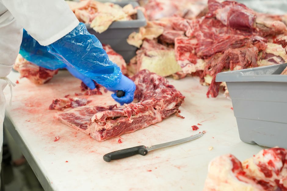 Man out on bail after pleading guilty in illegal meat investigation