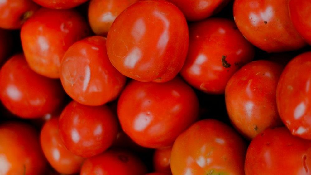 7 Vegetables That Are Technically Fruits (And 2 Fruits That Are Technically Herbs)