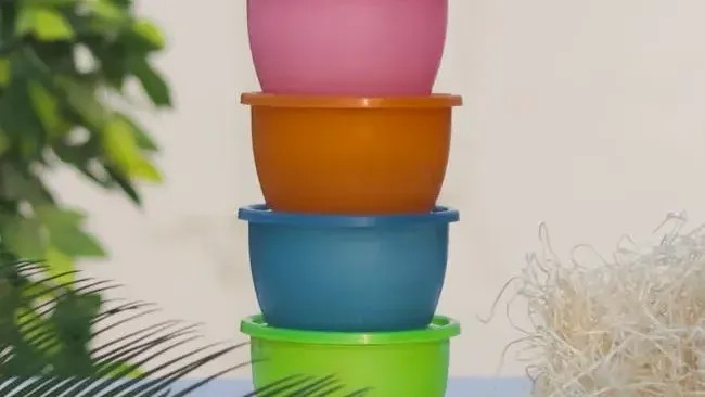 8 Tupperware Items From Grandma's Attic That Could Be Worth a Fortune