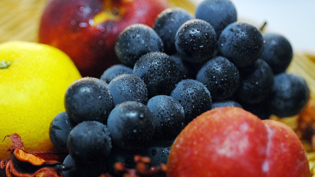 The Kidney-Friendly List: 9 Low-Potassium Snacks for Better Renal Health