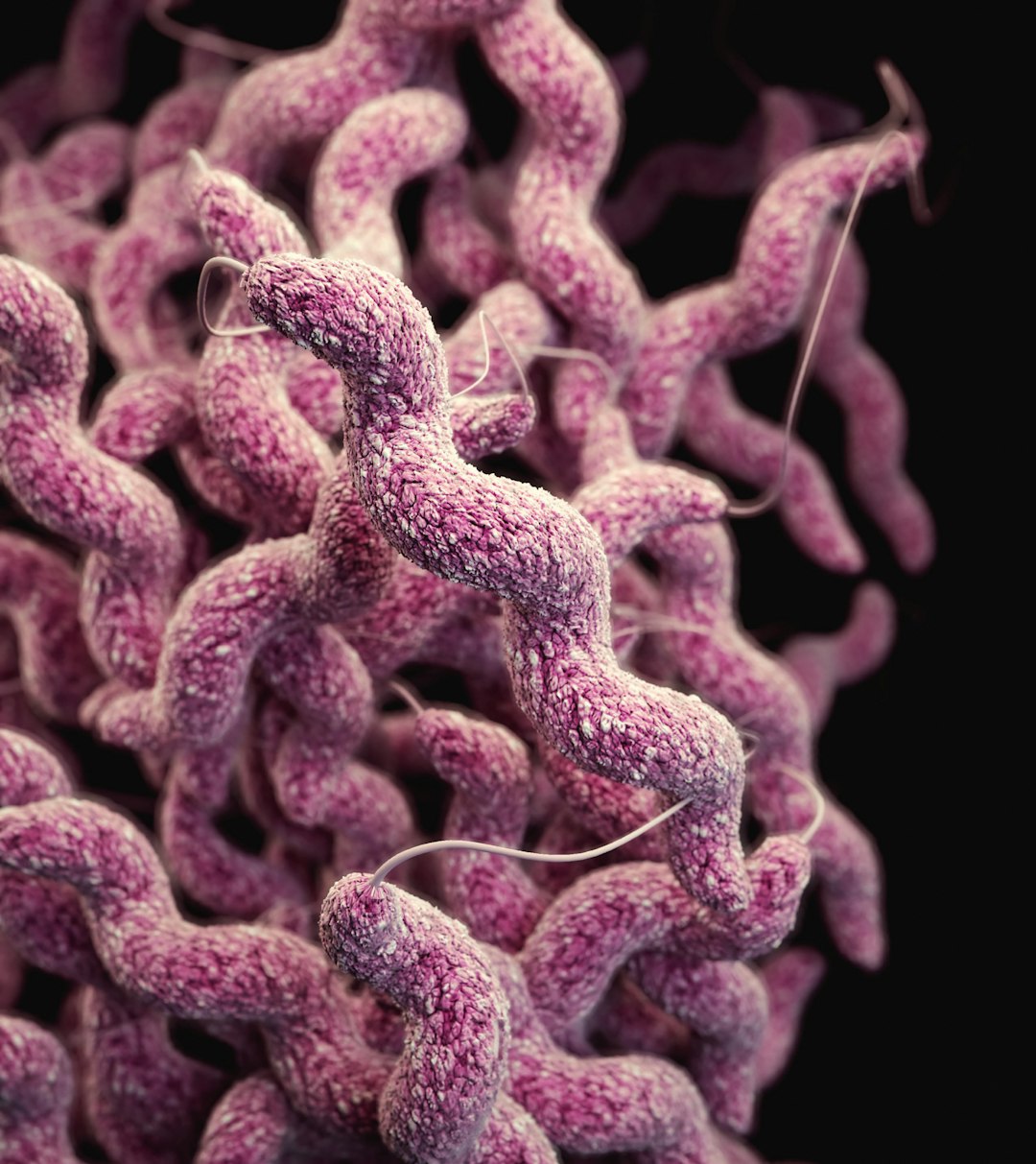 Scientists update data on Campylobacter sources and resistance