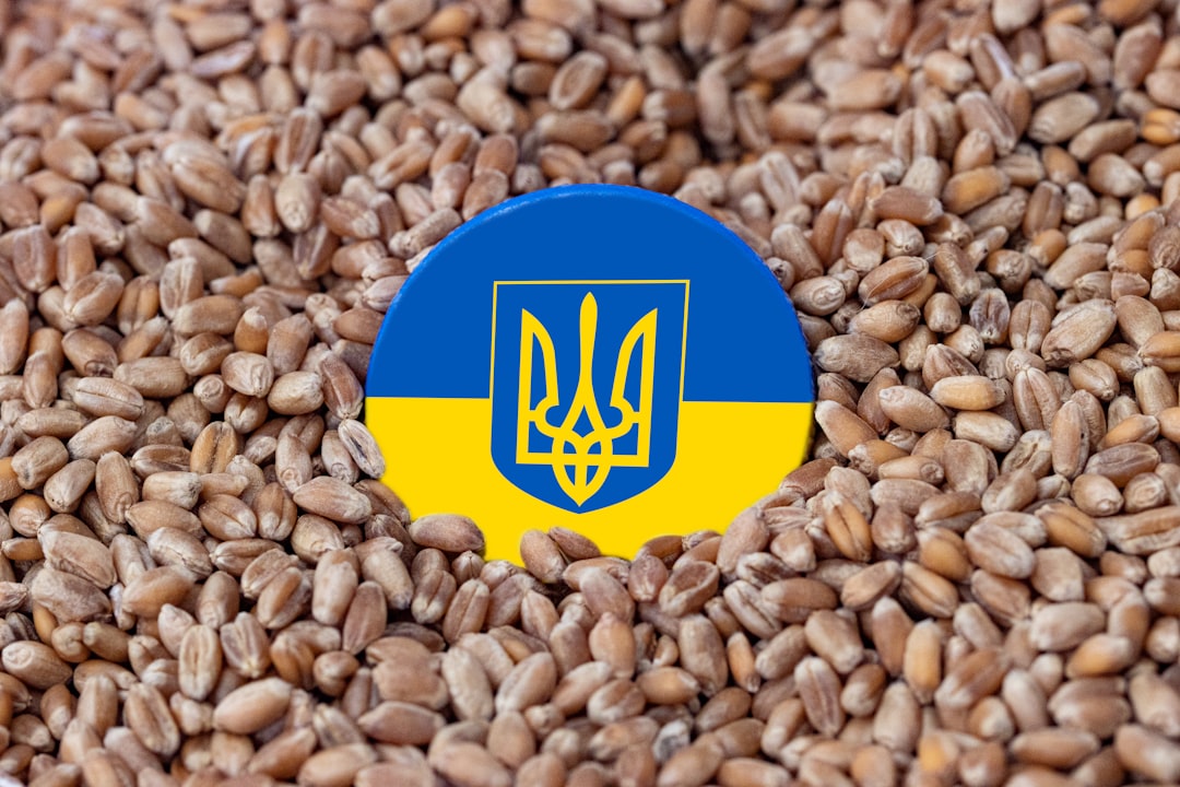 EU funds new phase of food safety project in Ukraine