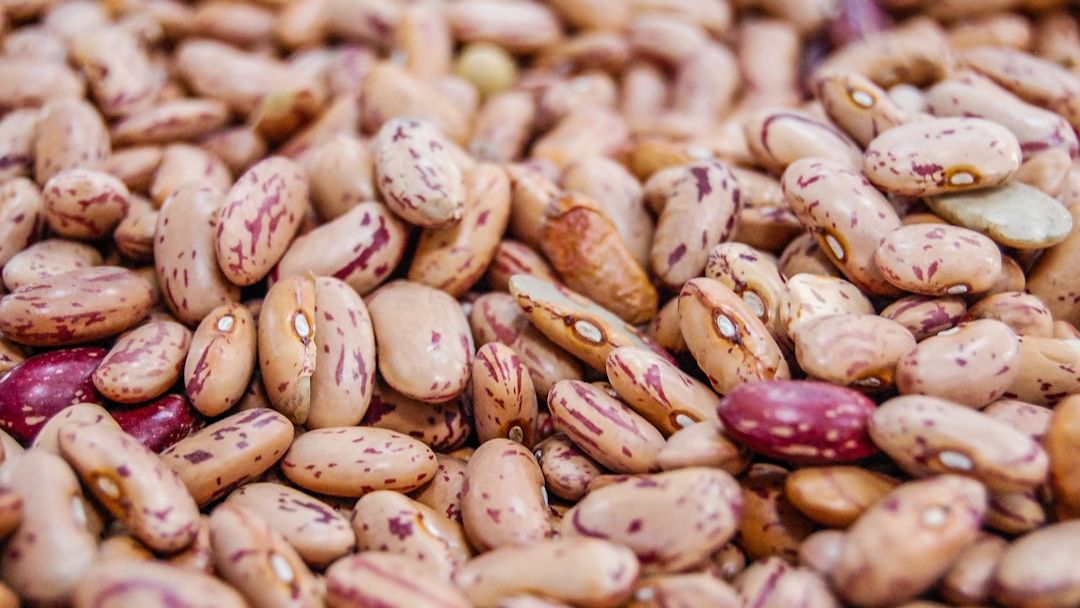 The Protein Pivot: 8 Beans That Have More 'Fullness Factor' Than Chicken Breast