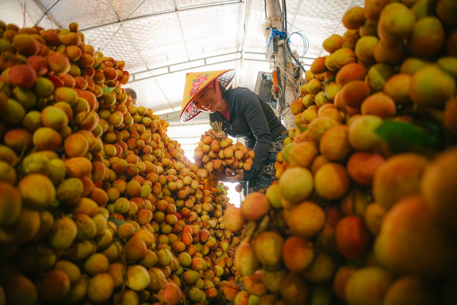 UK food, drink export volumes rise in 2025 despite US tariffs