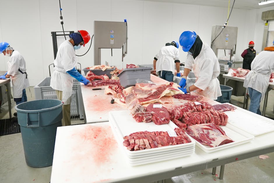Hertzog Meat opens new processing plant