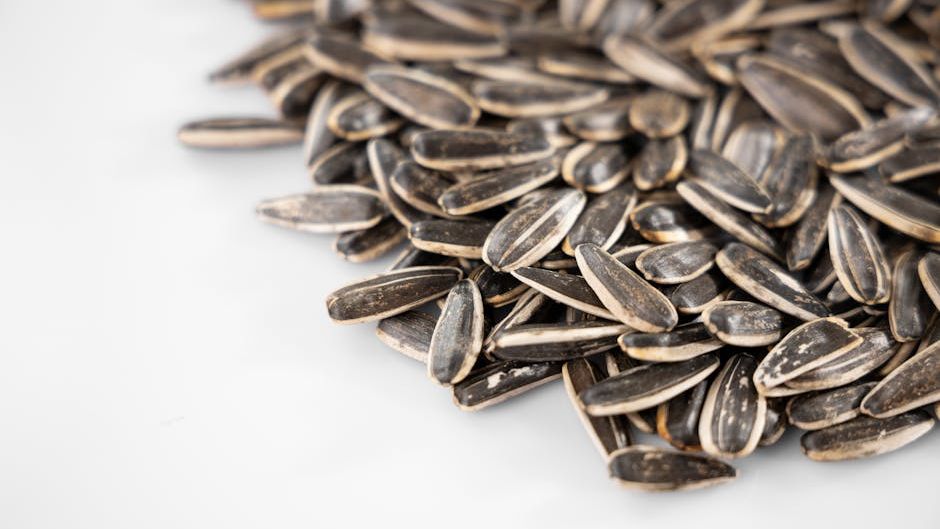 9 Common Seeds With More Calcium Than a Glass of Milk