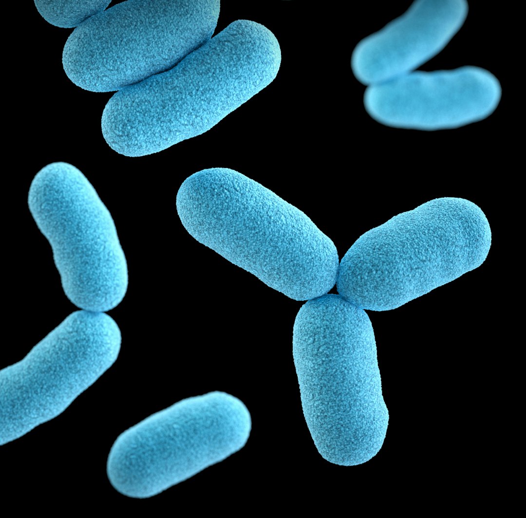 FSAI issues Listeria guidance following outbreak