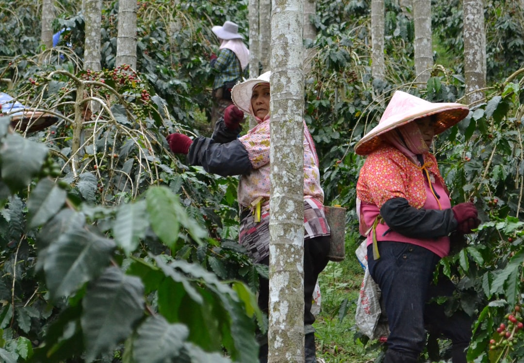 Nestlé inks partnership to support labor rights in coffee supply chains