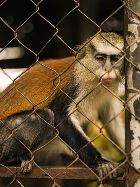 More bushmeat seizures reported in England