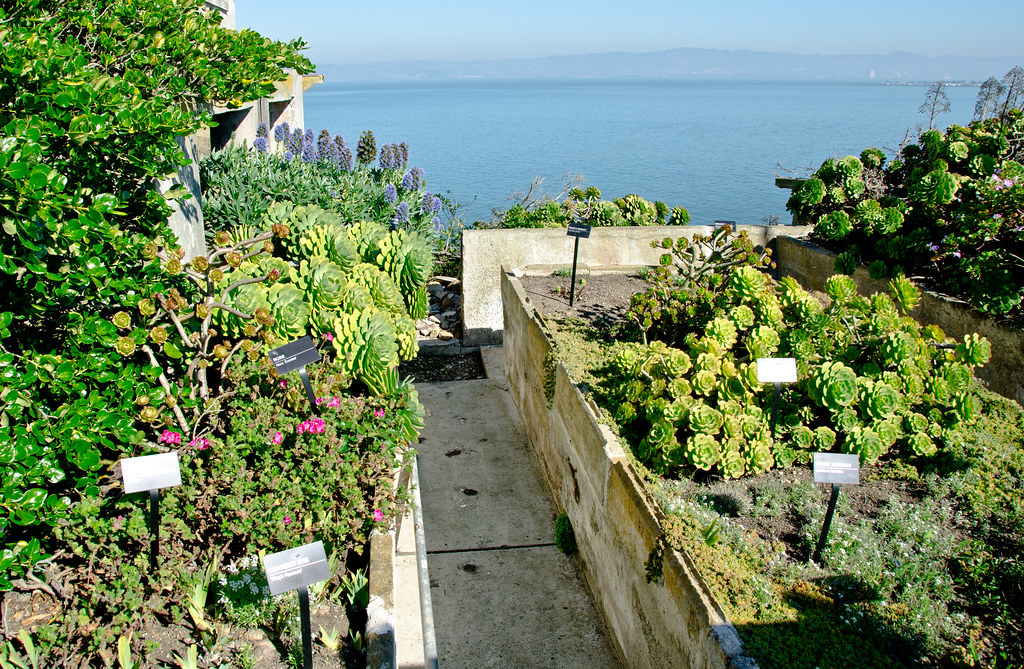 Mario Monteiro Was Incarcerated at 17. Gardening Helped Him Survive 23 Years.