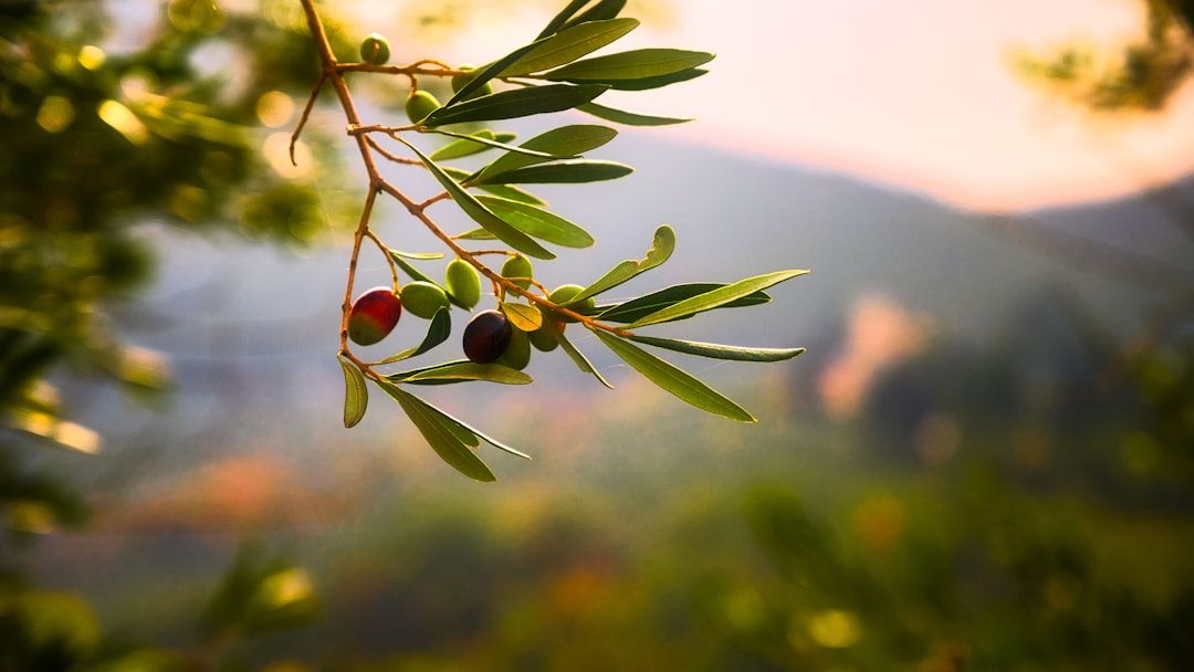 I'm a Personal Chef for Billionaires: 5 "Cheap" Grocery Items They Always Have in the Fridge